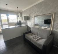 A two-room apartment with a kitchen island, a sofa, and a mirror on a gray wall.