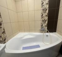 A bathroom with a corner bathtub and decorative tiles in a studio apartment.