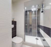 Bathroom in a 4-room apartment with a toilet and a shower, tiles in white and dark color.