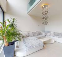 Living room in a 4-room apartment with a white sofa and houseplants.