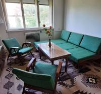 Living room in a family house, green armchairs, carpet with geometric patterns.