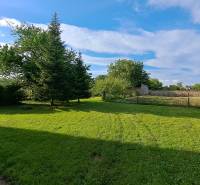 The garden of a family house in Hronské Kosihy with trees and a grassy area under a blue sky.
