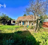 A garden of a family house in Budmerice with fruit trees and a wooden shed.