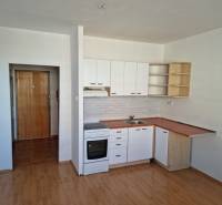 Studio apartment with entrance, kitchen, and floor with wood decor.