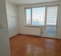 A room in a studio apartment with a wood-patterned floor and a large window.