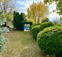 A garden with ornamental shrubs and trees on a residential plot on Hany Meličkovej, Bratislava - Karlova Ves.