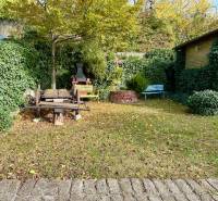 A garden with a lawn and seating area on a residential property in Karlova Ves on Hany Meličkovej.
