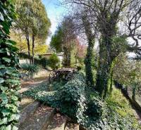 A garden with lush vegetation and an old carriage in Bratislava - Karlova Ves, Hany Meličkovej. Land - residential.