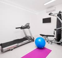 Home gym in the villa with equipment: treadmill, bench, blue exercise ball.