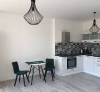 A kitchen in a studio apartment with a dining table and a wooden-patterned floor.