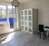 Windows in a 1-room apartment with a wood-decor floor and a view of the balcony.
