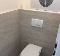 A bathroom with tiles in a studio apartment, a decorative picture of a leaf on the wall.
