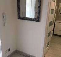 A hallway with a large mirror in a studio apartment with a wood-patterned floor.