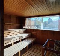 A wooden sauna with benches and a window in the gastro area.