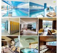 Wellness center with a pool, sauna, and relaxation areas, floor with wooden decor.