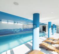 Interior relaxation zone with a pool and loungers in gastro premises.