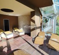 Interior of gastro spaces with loungers, glass wall, and floor with wooden decor.