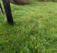Green lawn and wooden posts on a property in Oščadnica, ideal for living.