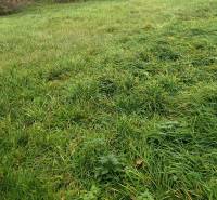 The greenery on the property in Oščadnica is ideal for residential land.