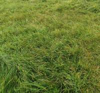 A grassy residential plot in Oščadnica surrounded by greenery and fences.