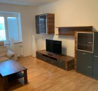Living room of a two-room apartment with wood-patterned flooring and a television.
