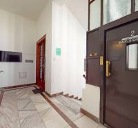 Interior of an office with an elevator, staircase, television, and a plant in Bratislava - Old Town.