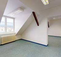 Attic offices with white walls, a radiator, and a green carpet.