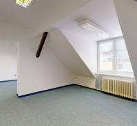 Offices with a window and a radiator, floor with wood decor, sockets on the wall.