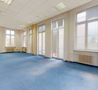 Spacious offices with blue carpet and large windows.