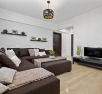 Living room in a two-room apartment with a brown sofa, television, and wooden decor flooring.