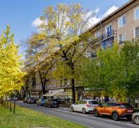 Trees line Košická Street in Bratislava - Ružinov, cars parked along the road.