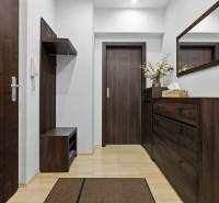 Entrance hallway in a 2-room apartment, with dark furniture and a wooden decor floor.