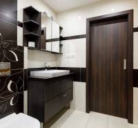 Bathroom in a 2-room apartment with dark decor, a sink, and storage space.