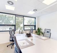 Offices with large windows and office furniture, complemented by plants and decor.