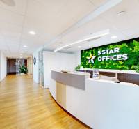 Offices with a reception and a wooden decor floor, lined with plants and modern lighting.