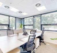 Bright offices with windows and a plant, equipped with ergonomic chairs and white desks.