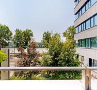 View from the terrace of the offices on Žižkova Street in Bratislava - Old Town.