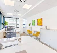 Offices with white desks, yellow chairs, and light walls, decorated with colorful paintings.