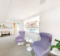 Offices with comfortable chairs, a table, standing plants, and a foosball table.