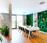 Offices with wooden decor, a green wall, and plants create a pleasant working environment.
