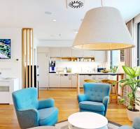 Living space in an office with armchairs, a lamp, a television, and plants.