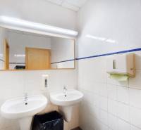 A bathroom with two sinks, a large mirror, and a soap dispenser in an office.
