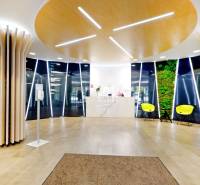 Offices with wooden decor, colorful chairs, and a green wall.