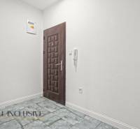 A white hallway with dark doors and tiles in a 2-room apartment.
