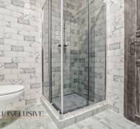 A bathroom in a 2-room apartment with a toilet and a shower, tiled with decorative tiles.