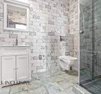 Bathroom in a 2-room apartment with a sink, shower, and decorative tiles.
