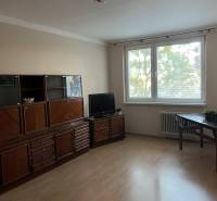 Living room in a two-room apartment with a wooden decor floor and furniture.