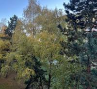 Greenery on Hviezdoslavova Street in Senica surrounds a 2-room apartment, creating a natural atmosphere.