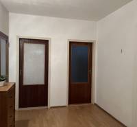 A hallway in a 2-room apartment with a wooden decor floor and two wooden doors.