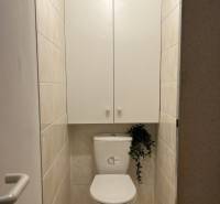 Bathroom with a toilet and a cabinet in a 2-room apartment, neutral tiles.